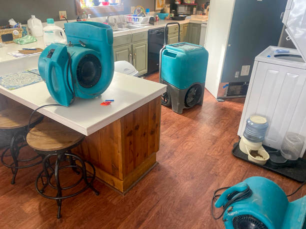 Best Flood restoration services  in Redington Beach, FL