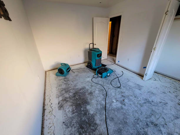 Best Water damage contractors near me  in Redington Beach, FL