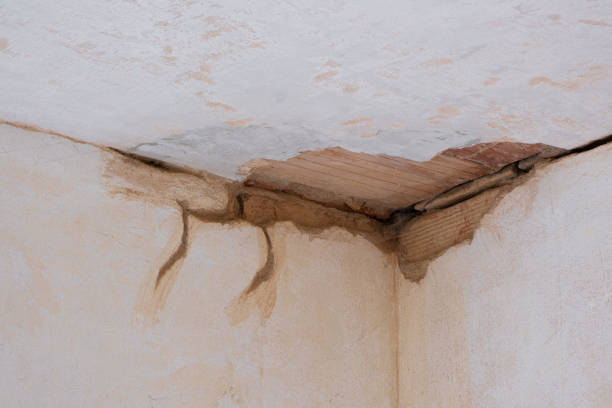 Best Sewage cleanup and water damage restoration  in Redington Beach, FL