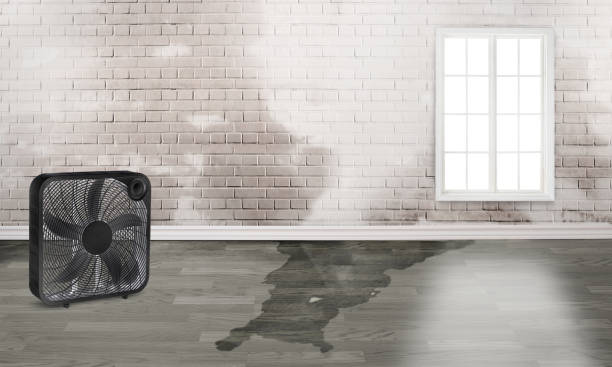 Best Water damage restoration cost  in Redington Beach, FL