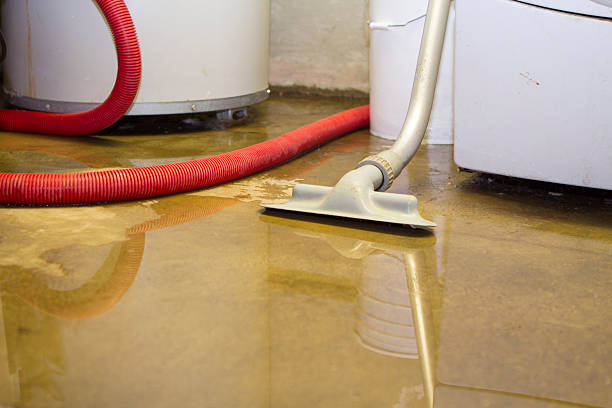 Best Local water damage restoration  in Redington Beach, FL