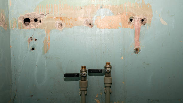 Best Emergency water damage restoration  in Redington Beach, FL