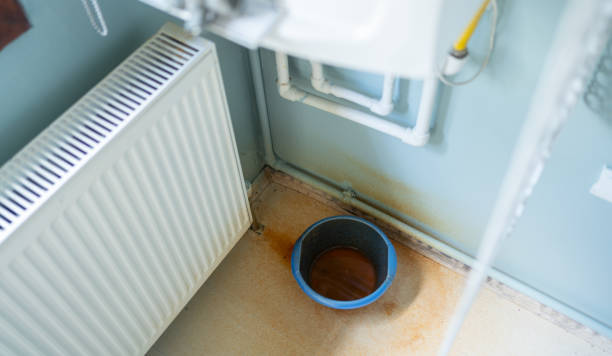 Best Commercial water damage restoration  in Redington Beach, FL