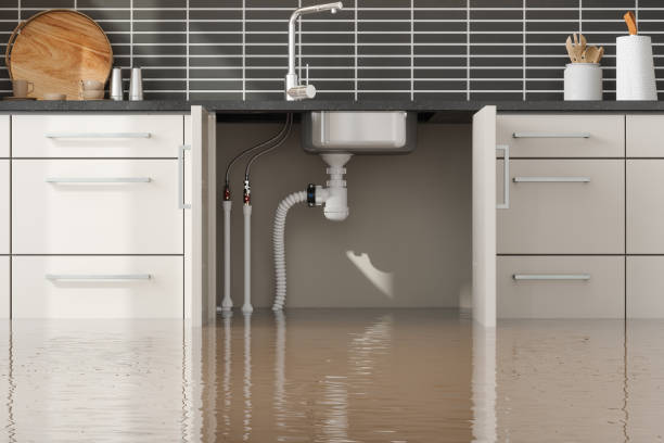 Best Water damage restoration company  in Redington Beach, FL