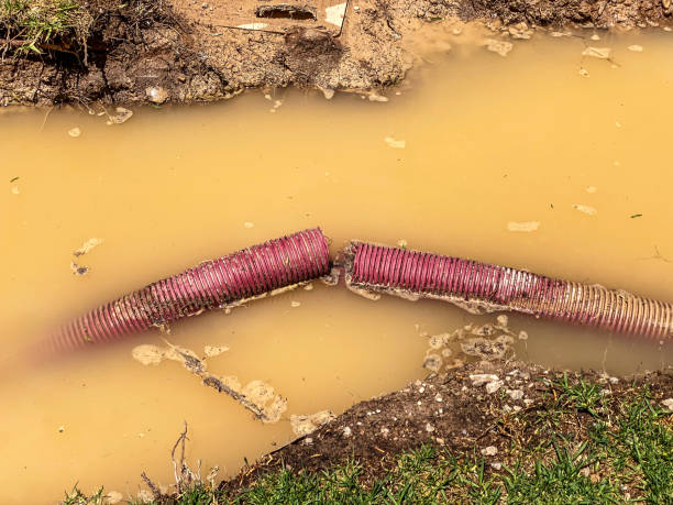 Best Water damage repair service  in Redington Beach, FL