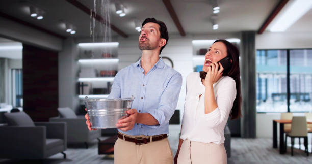 Trusted Redington Beach, FL Water damage restoration Experts
