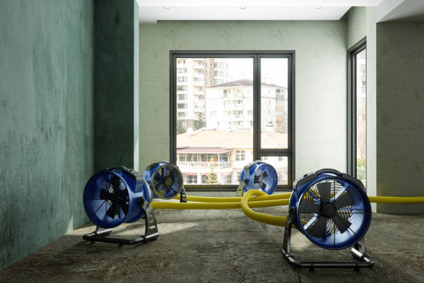  Redington Beach, FL Water damage restoration Pros