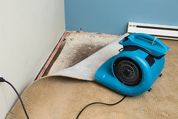 Best Water damage restoration experts  in Redington Beach, FL